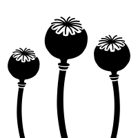 Poppies icon